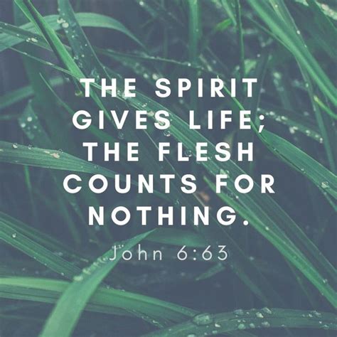 John 6 NIV .